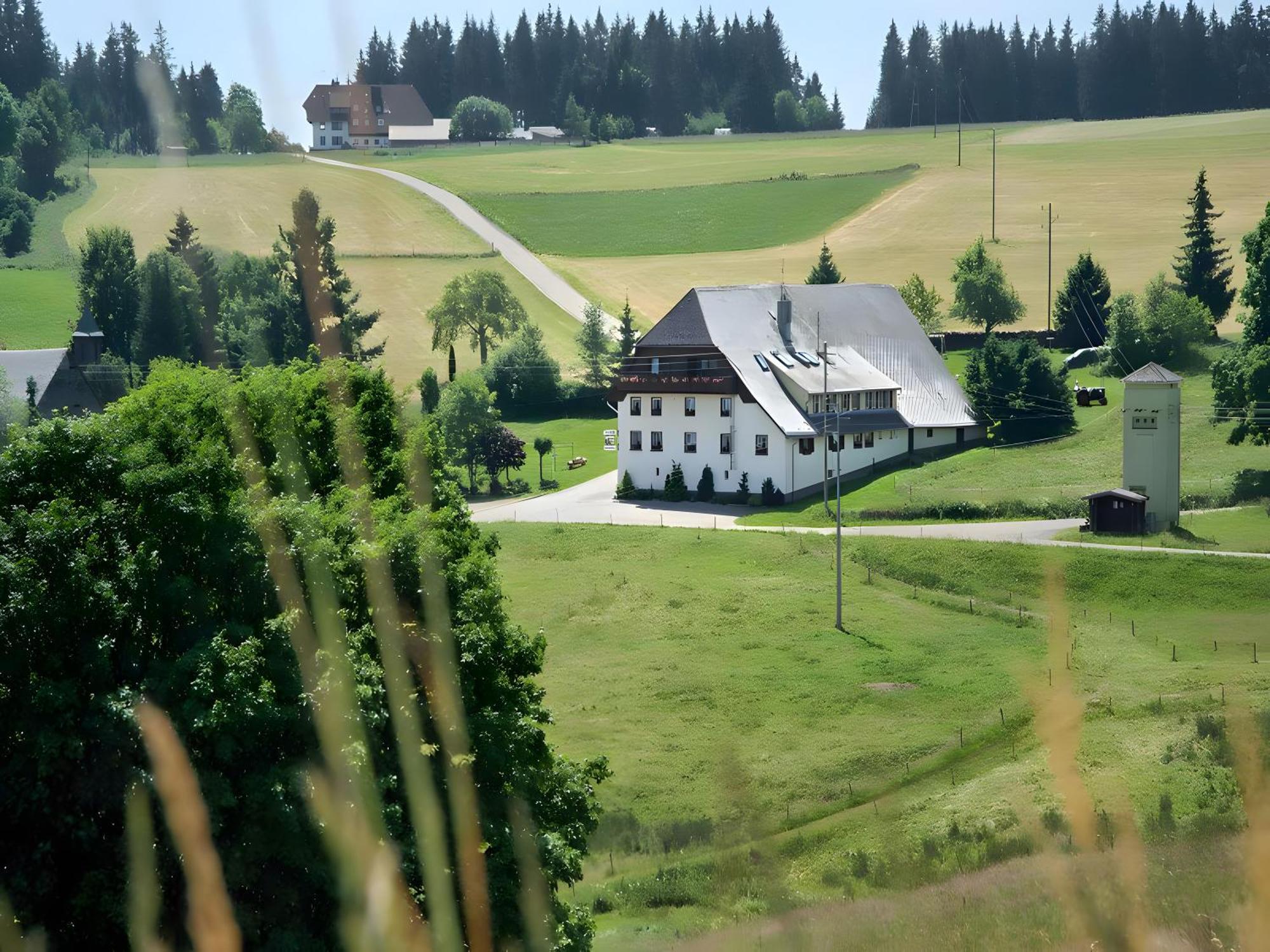 Gasthaus-Pension Zum Loewen Grafenhausen Exterior foto