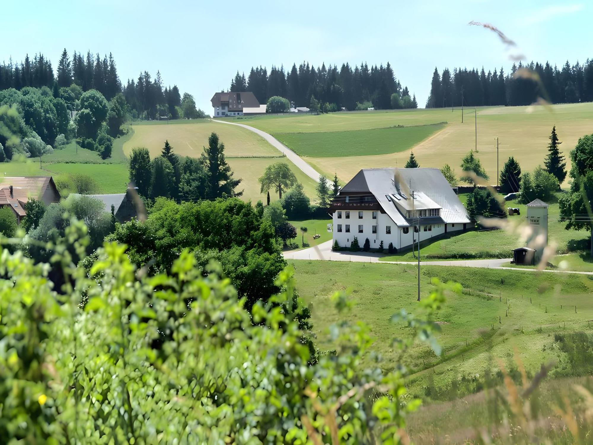 Gasthaus-Pension Zum Loewen Grafenhausen Exterior foto