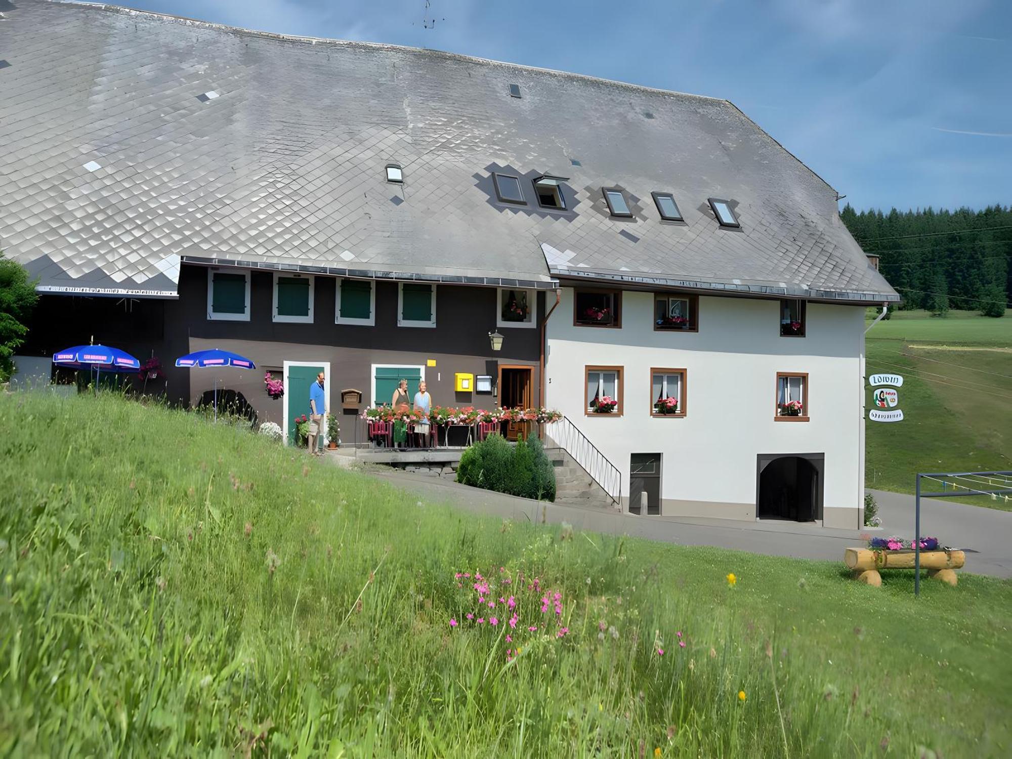 Gasthaus-Pension Zum Loewen Grafenhausen Exterior foto