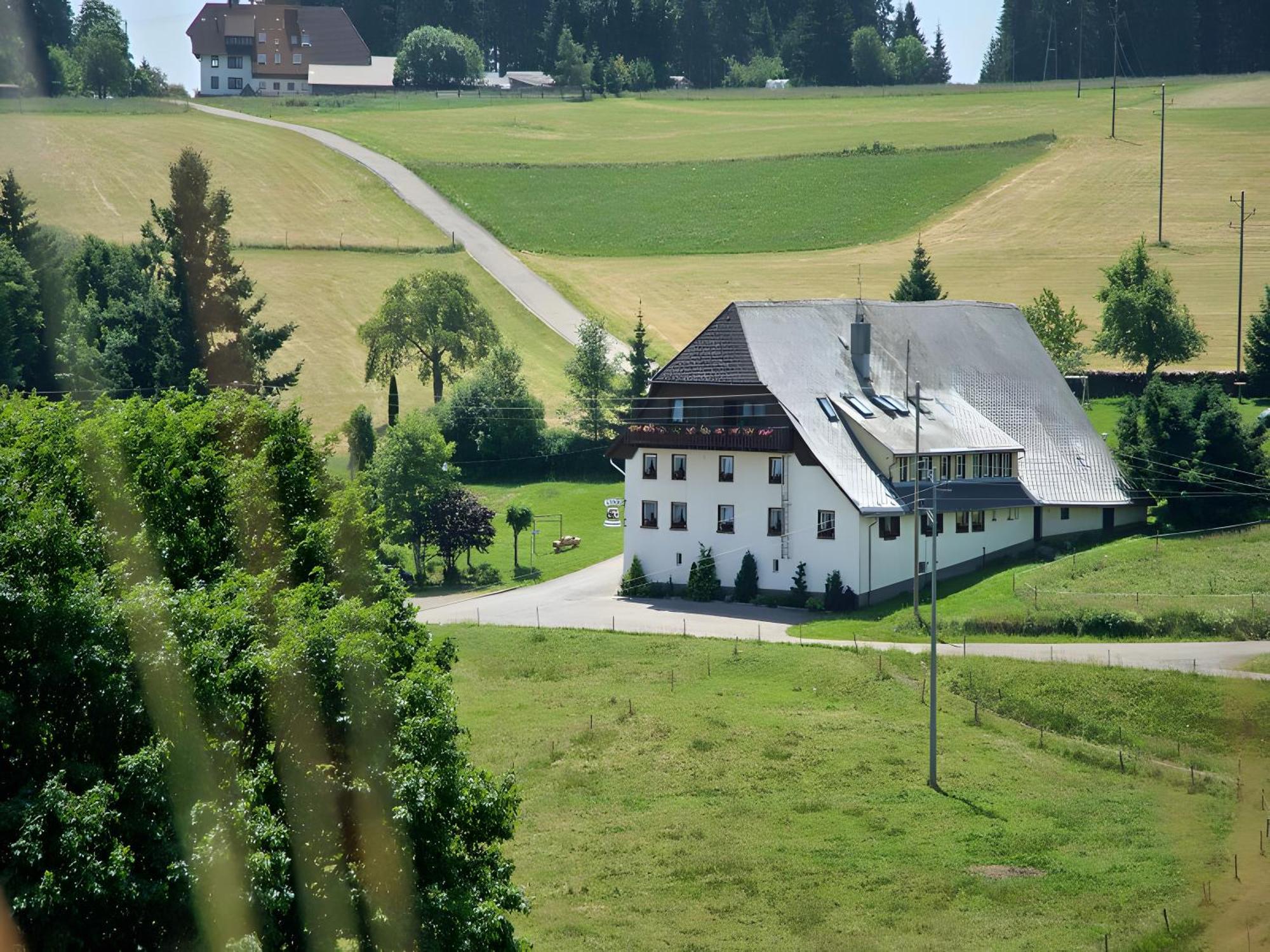 Gasthaus-Pension Zum Loewen Grafenhausen Exterior foto